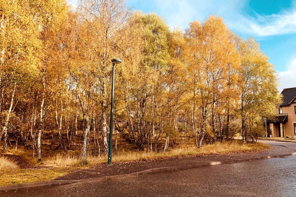 Cairngorm Cottage 阿维莫尔 外观 照片